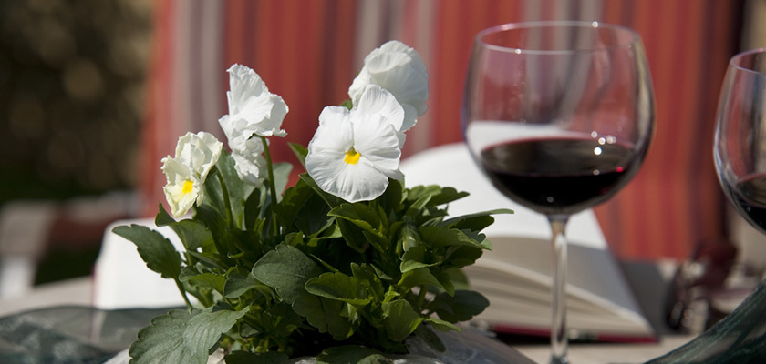 Viola wittrockiana F₁ Inspire® Plus White | Benary